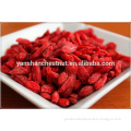 Ningxia Dried Goji Berry (Wolfberry)